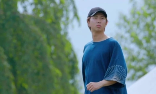 BTS на лужайке 2 серия