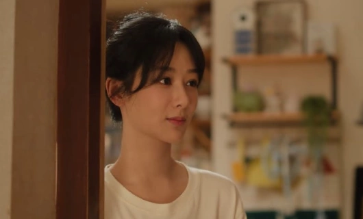 История Чэнхуань 12 серия