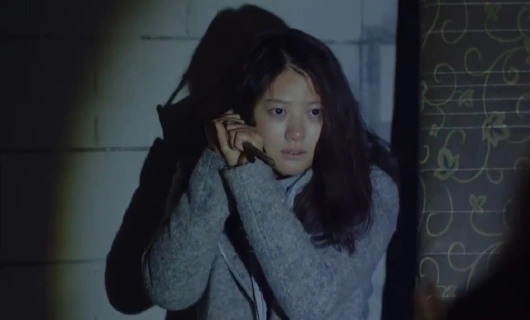 Команда "Бульдог": Внеслужебное расследование 8 серия