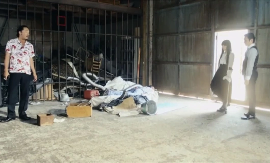 Мститель 10 серия