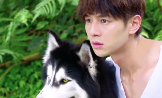 Принц волков 14 серия