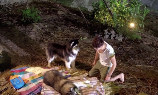 Принц волков 16 серия