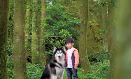 Принц волков 9 серия