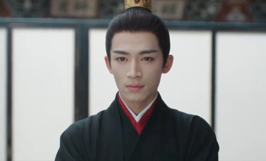 Двойник 8 серия