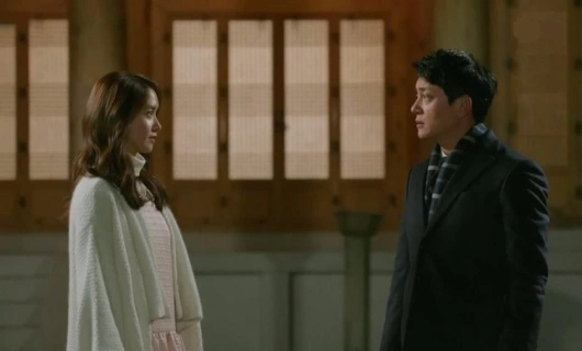 Премьер-министр и я 13 серия