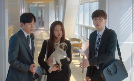 Сияющий офис 11 серия