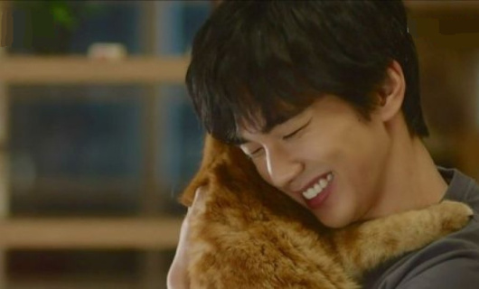 Воображаемая кошка 2 серия