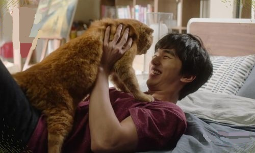 Воображаемая кошка 3 серия