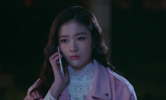 Пятнадцать лет в ожидании перелетных птиц 13 серия