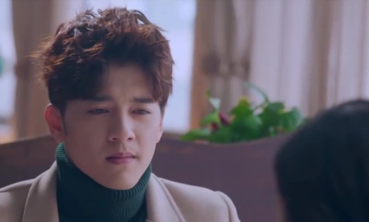 Пятнадцать лет в ожидании перелетных птиц 20 серия