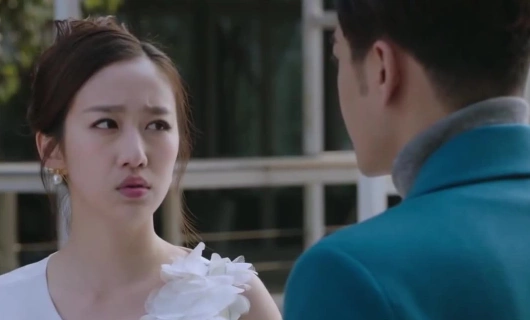 Пятнадцать лет в ожидании перелетных птиц 23 серия