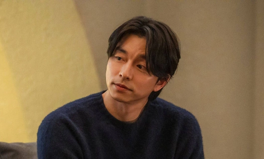 Багаж 5 серия