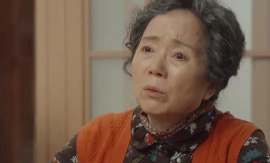 Вкусный ужин 27 серия