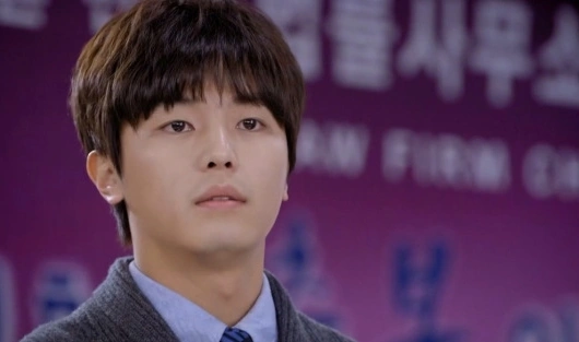 Влюбленный адвокат по разводам 1 серия