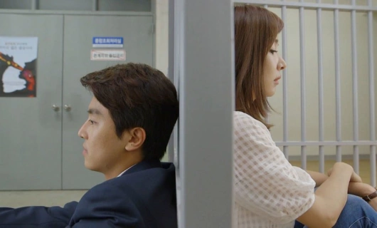 Влюбленный адвокат по разводам 14 серия