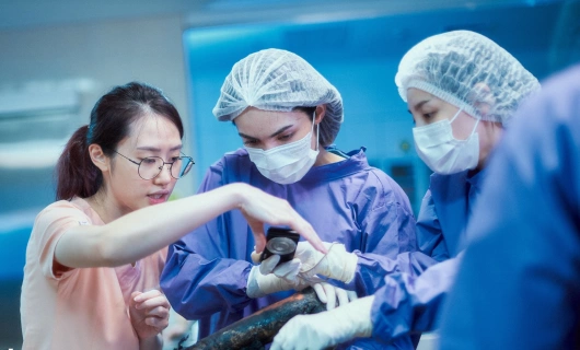 Петрикор 1 серия