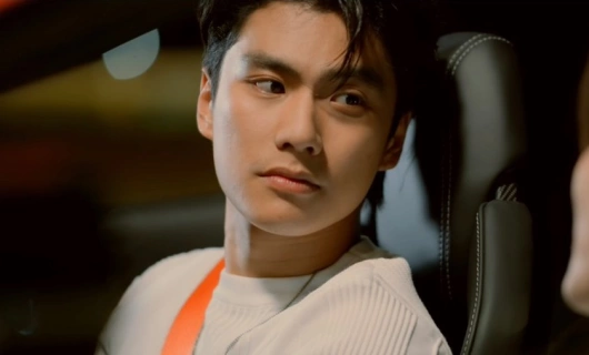 Похищение на заказ 12 серия