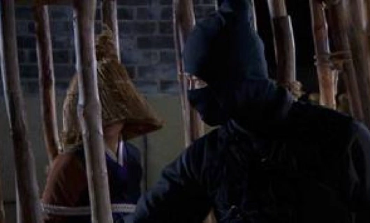 Возвращение Иль Чжи Мэ 14 серия