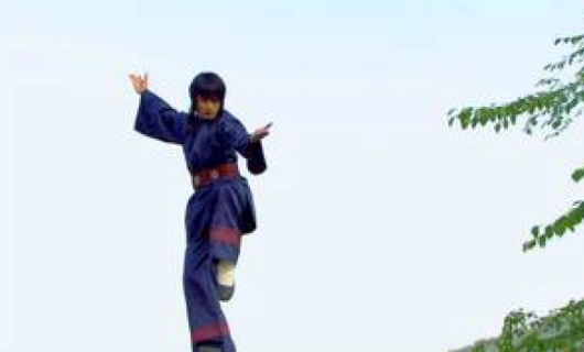 Возвращение Иль Чжи Мэ 2 серия