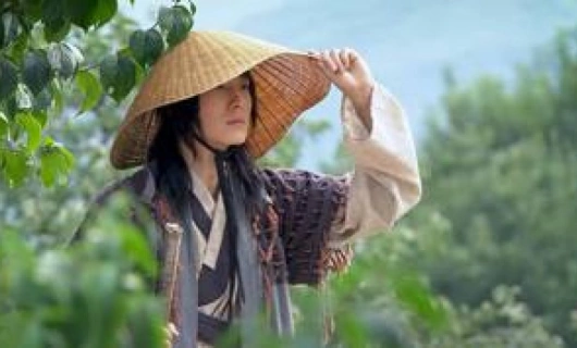 Возвращение Иль Чжи Мэ 6 серия