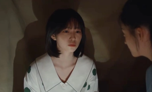 Всегда дома 8 серия «Фейерверк — свидетельство нашего товарищества»