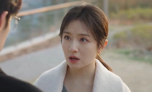 Фильтр 24 серия