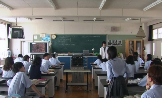 Дневные красавицы 1 серия