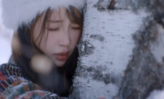 Тсс, король спит 12 серия