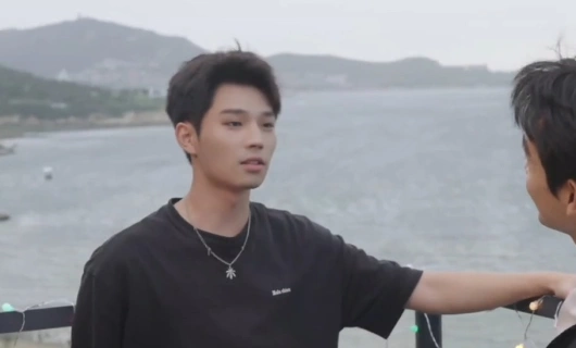 Неизвестный дядя 8 серия «Отношения между дядей и племянником также становятся достоянием общественности»