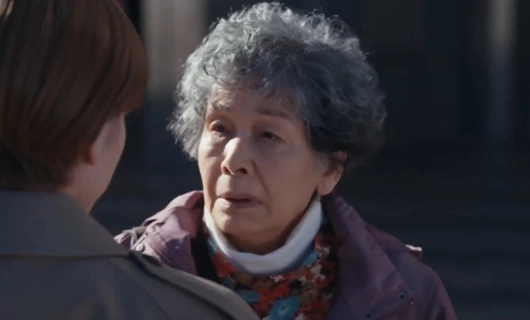 Совершенно секретно 5 серия