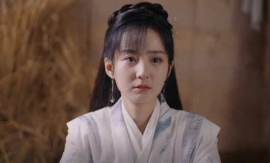 Когда цветы опадут, мы встретимся вновь 20 серия