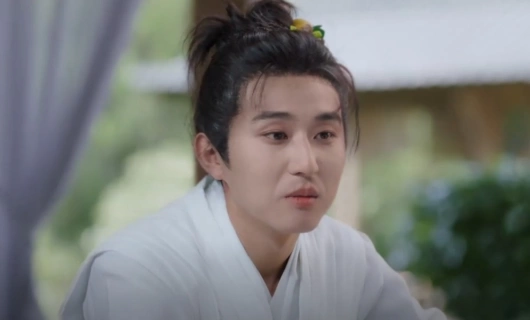 Когда цветы опадут, мы встретимся вновь 21 серия