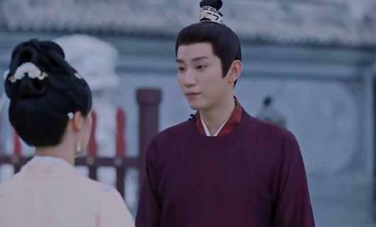 Лучший зять 20 серия