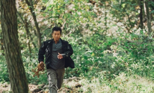 Гость 12 серия