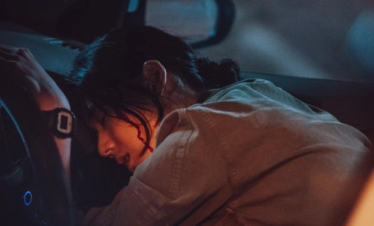 Гость 13 серия