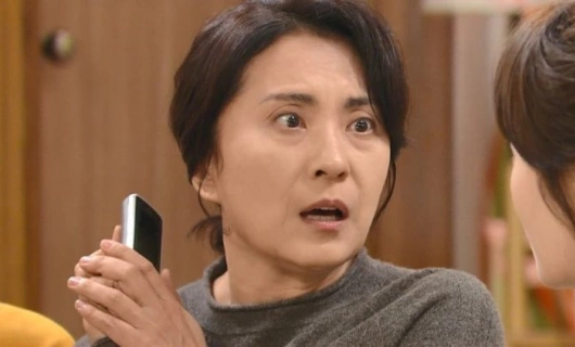 Каннамский скандал 22 серия