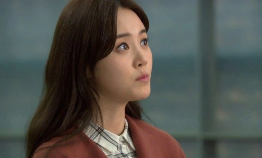 Каннамский скандал 30 серия