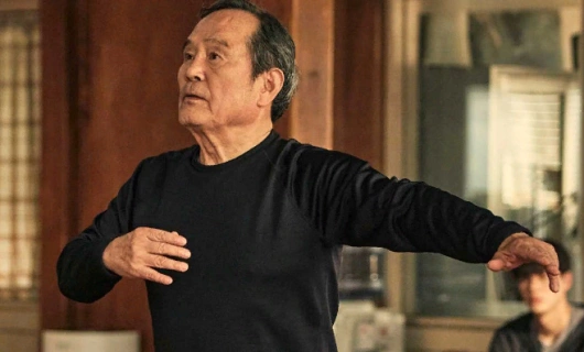 Навиллера 11 серия