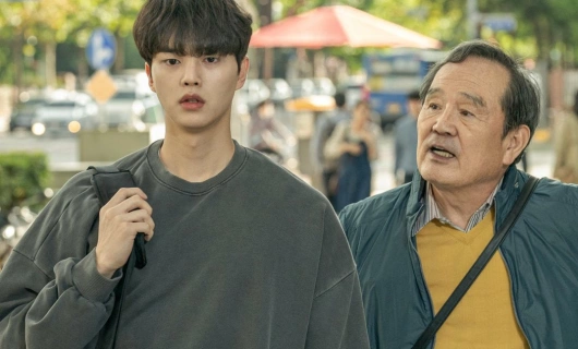 Навиллера 12 серия