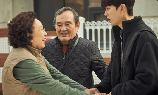 Навиллера 8 серия