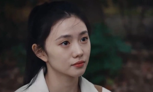 Семь зловещих дощечек 25 серия