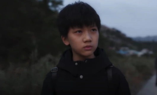 Вишнёвый янтарь 11 серия