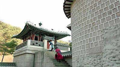 Дерево с глубокими корнями 16 серия