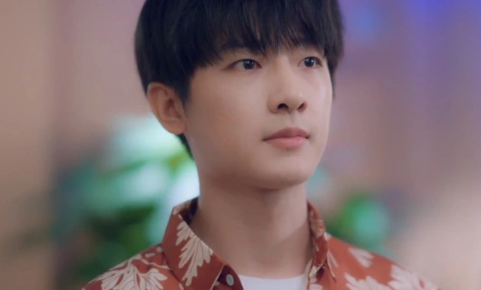 Упавшая счастливая звезда 13 серия