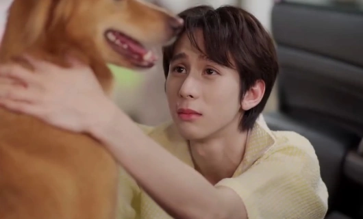 Не мой брат 5 серия