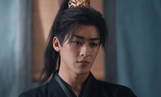 Затихающие волны 25 серия