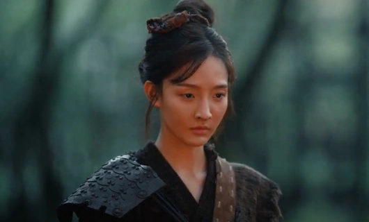 Затихающие волны 29 серия