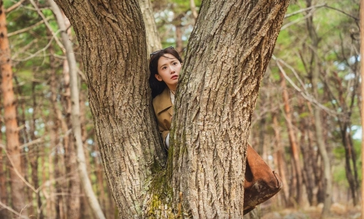 Шеф-повар тирана 1 серия