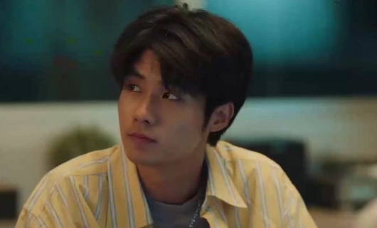 Мандат 6 серия