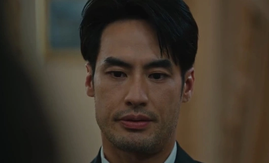 Мандат 8 серия